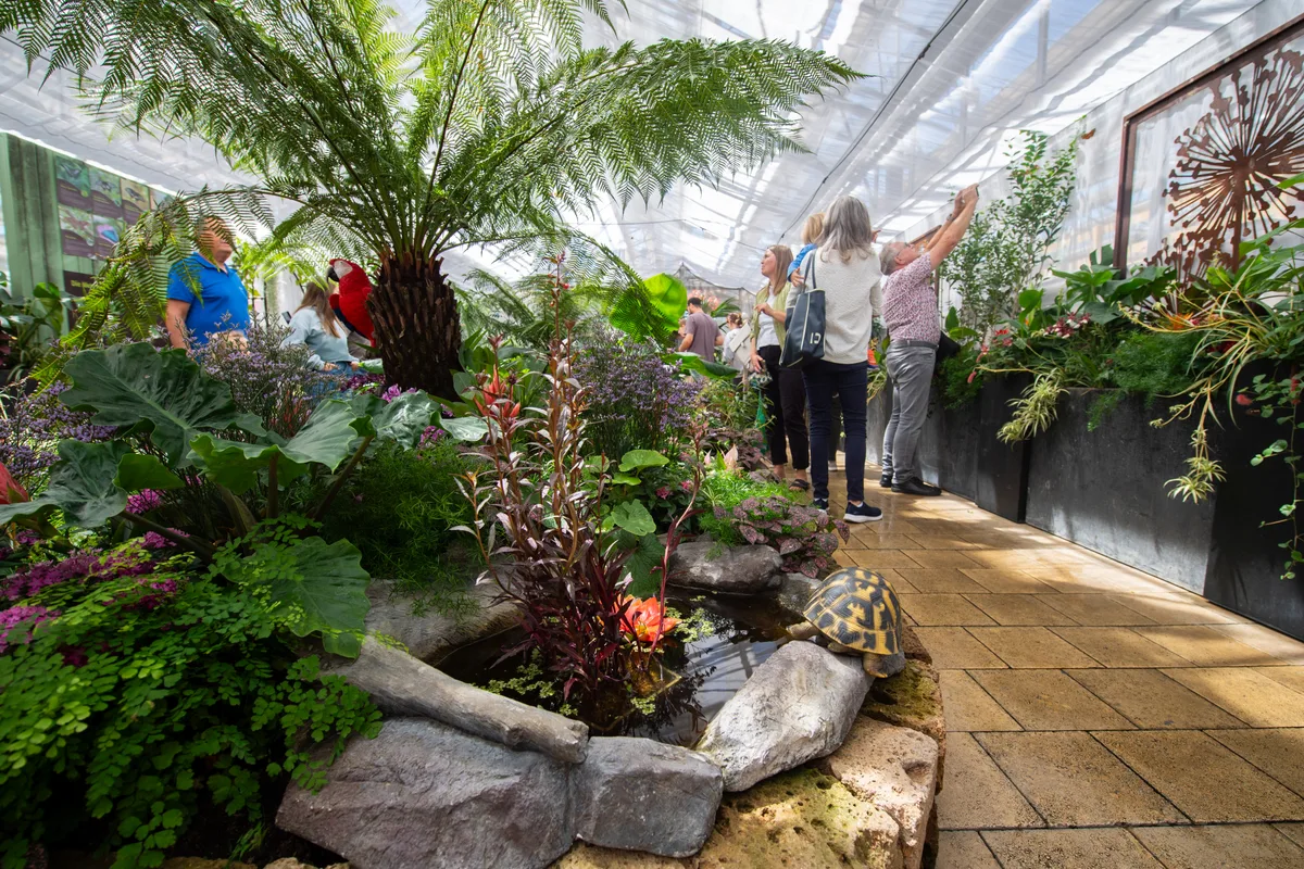 Impressionen vom Schmetterlingshaus im Gartencenter Meier in Dürnten